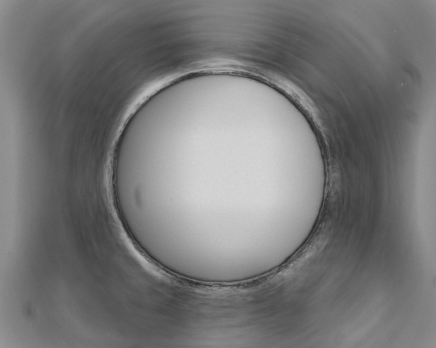 X0000112741429200908201025