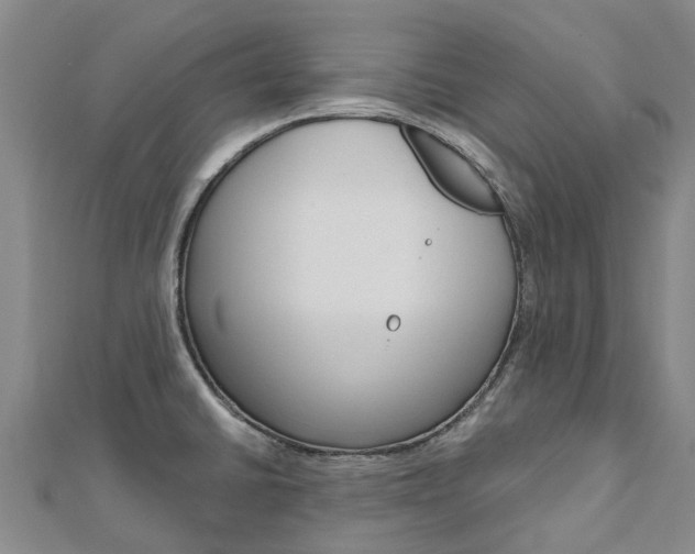 X0000112741430200908201025