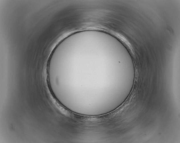 X0000112741431200908201025
