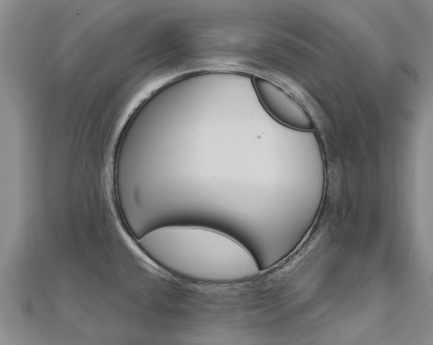 X0000112741432200908201025