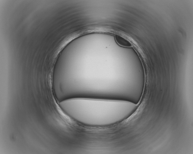 X0000112741433200908201025