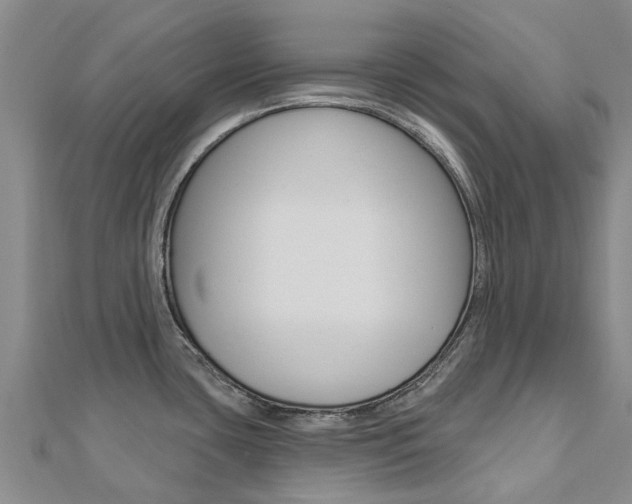 X0000112741435200908201025