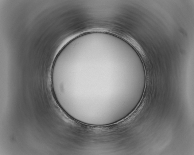 X0000112741436200908201025