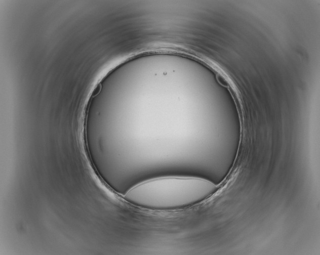 X0000112741437200908201025
