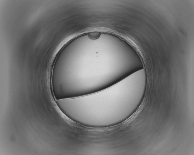 X0000112741438200908201025
