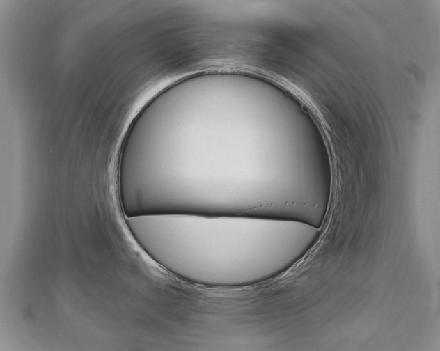 X0000112741440200908201025