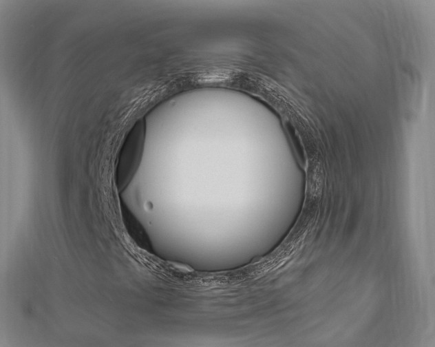X0000112741441200908201025