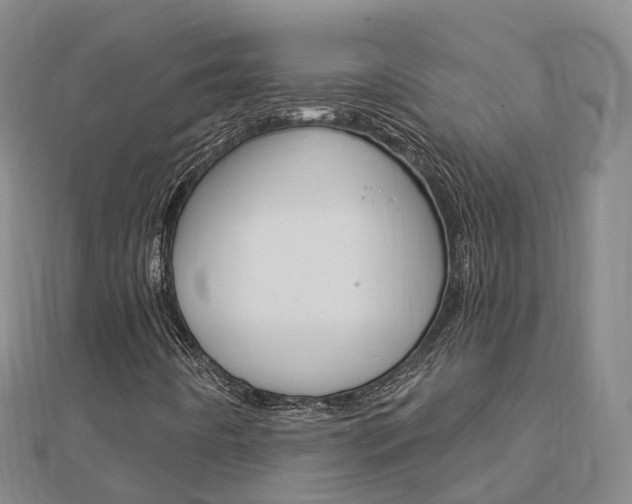 X0000112741442200908201025