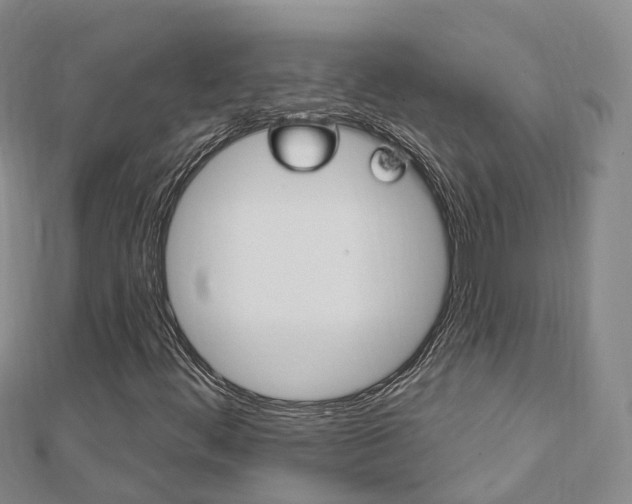 X0000112741444200908201025