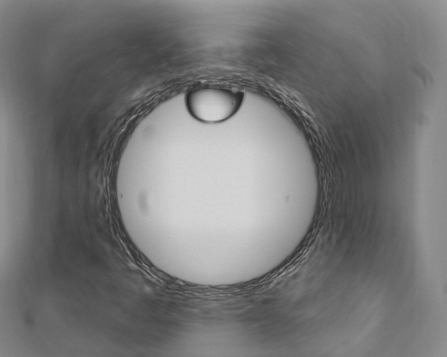 X0000112741445200908201025