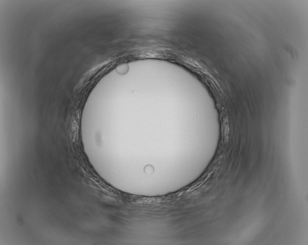 X0000112741446200908201025