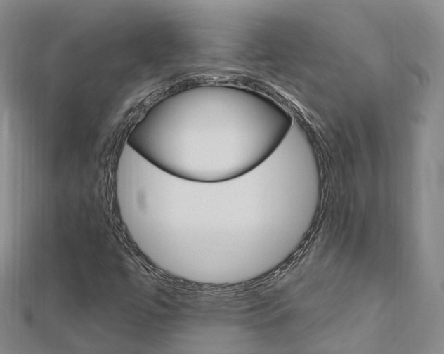 X0000112741447200908201024