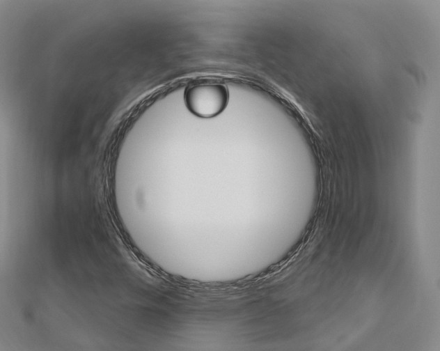 X0000112741448200908201024