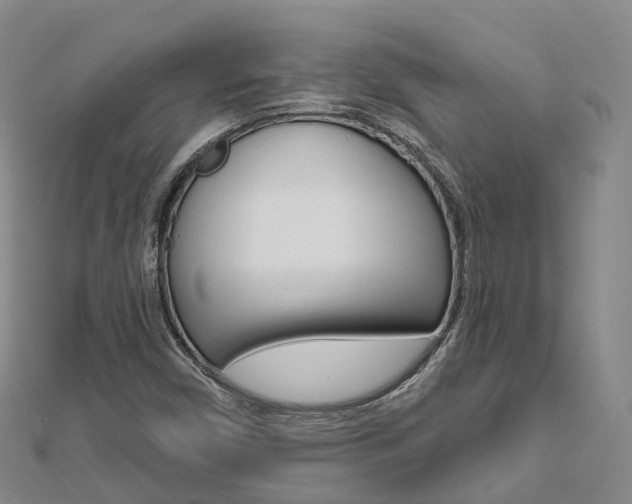 X0000112741450200908201024