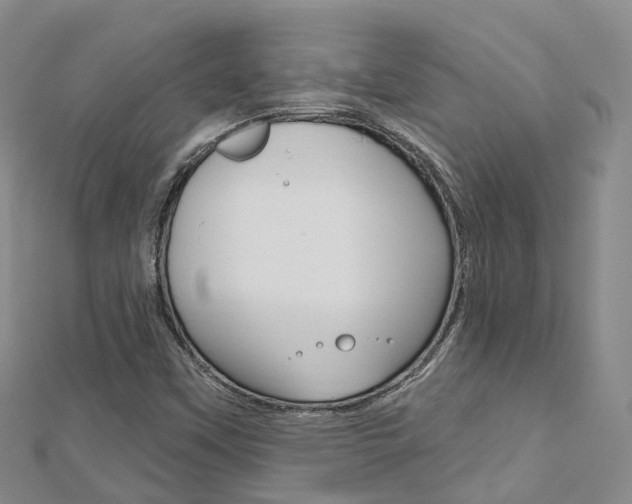 X0000112741451200908201024