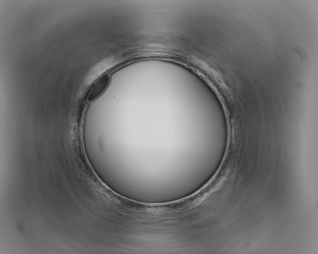 X0000112741453200908201024