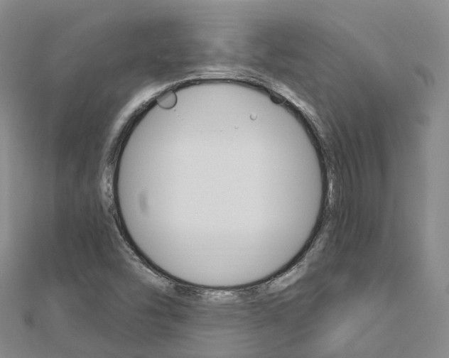 X0000112741454200908201024