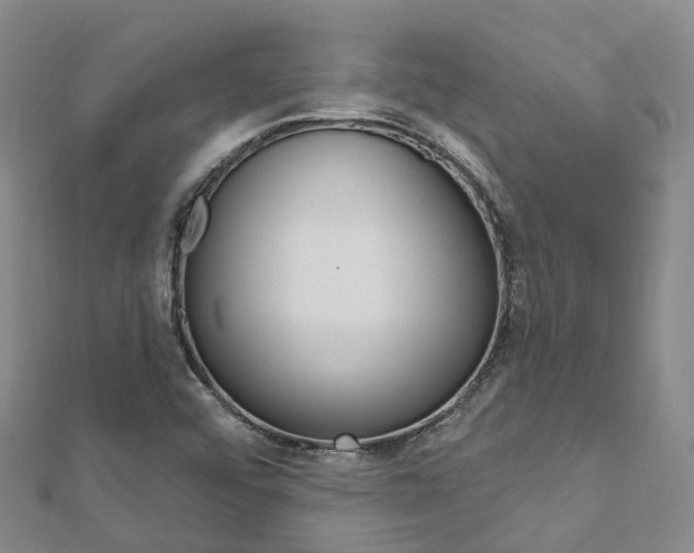 X0000112741456200908201024