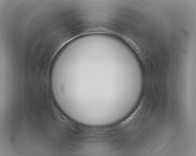 X0000112741457200908201024