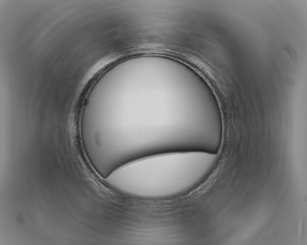 X0000112741458200908201024