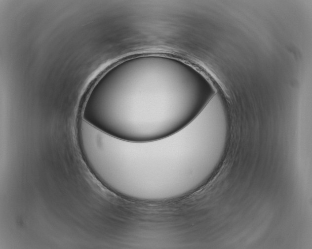 X0000112741460200908201024