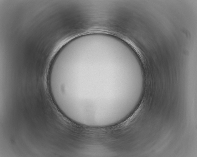 X0000112741461200908201024