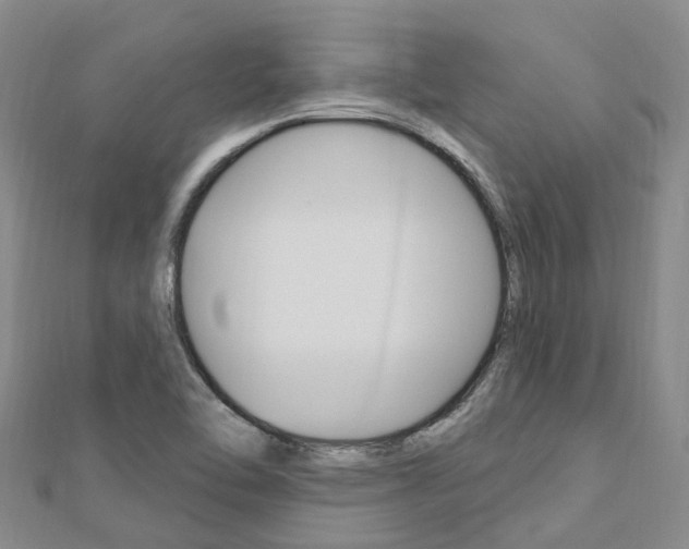 X0000112741462200908201024