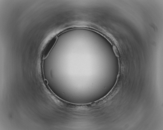 X0000112741464200908201024