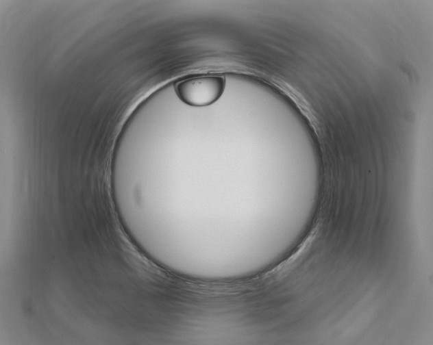 X0000112741465200908201024