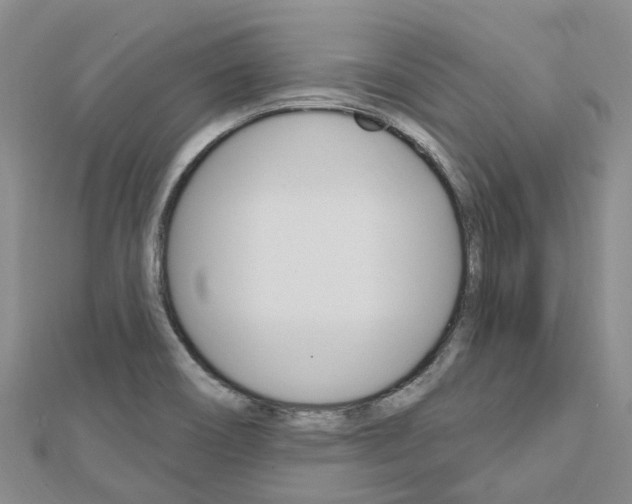 X0000112741466200908201024