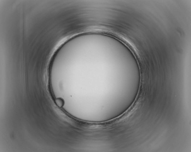 X0000112741467200908201024