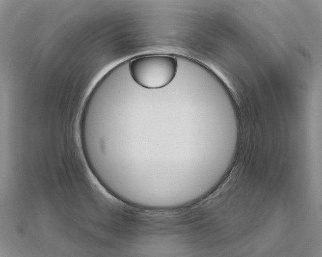 X0000112741468200908201024