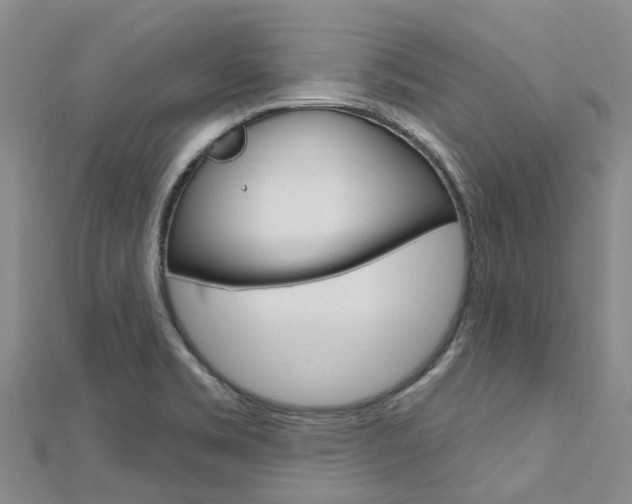 X0000112741469200908201024