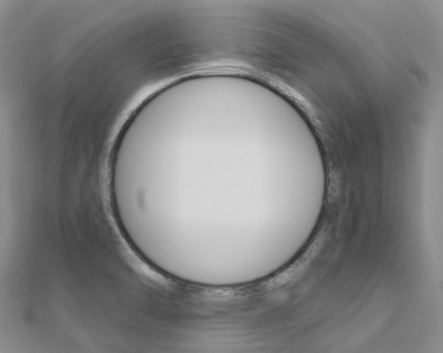 X0000112741470200908201024