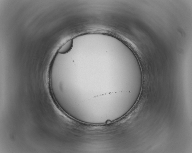 X0000112741471200908201024