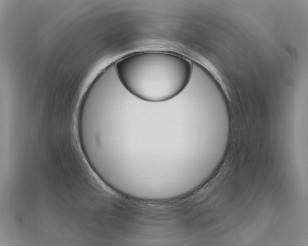 X0000112741472200908201024