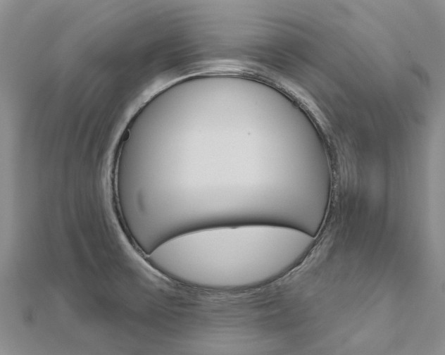 X0000112741475200908201024