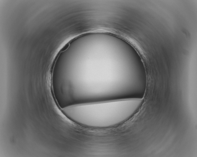 X0000112741476200908201024