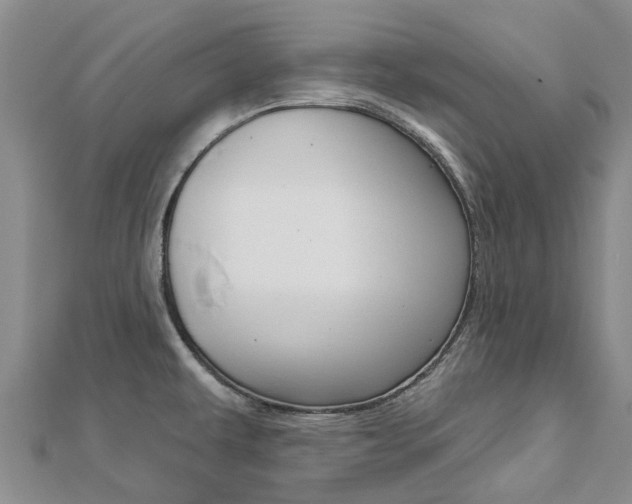 X0000112741479200908201024
