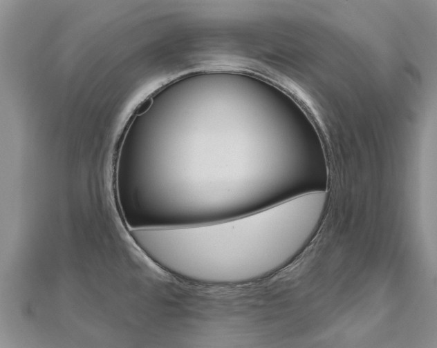 X0000112741480200908201024