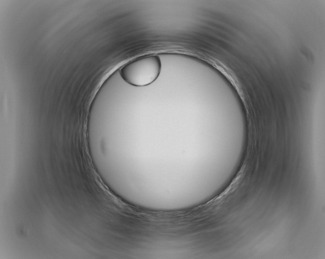 X0000112741481200908201024