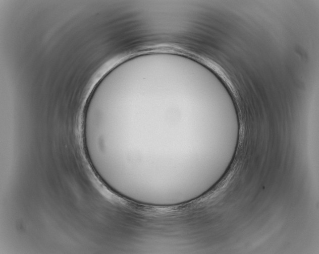 X0000112741482200908201024