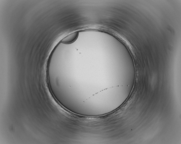 X0000112741483200908201024