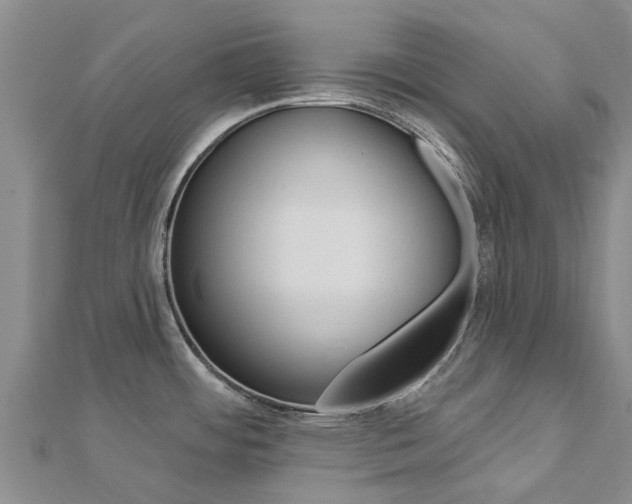 X0000112741484200908201024