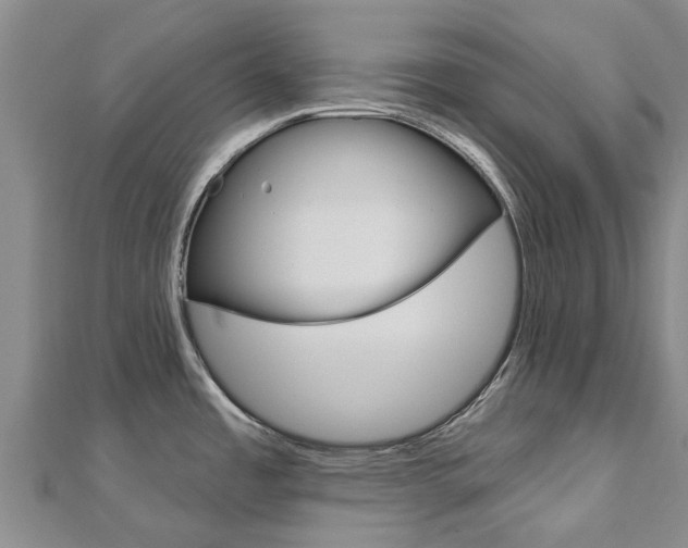 X0000112741485200908201024