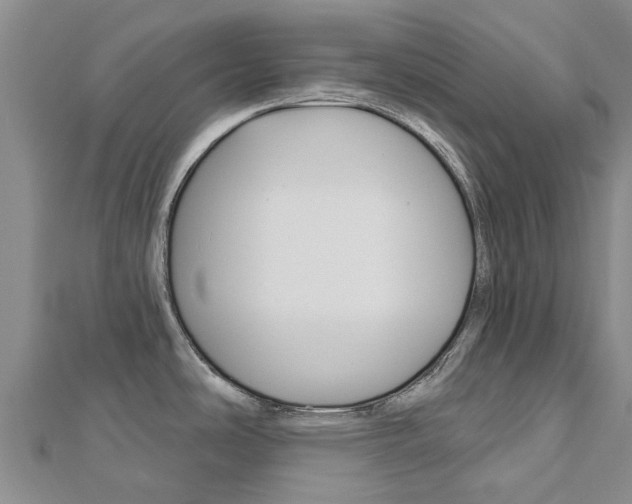 X0000112741486200908201024
