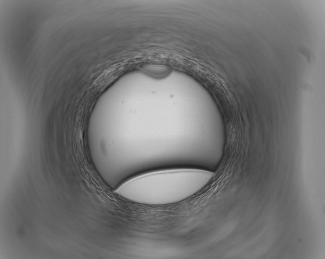 X0000112741489200908201023