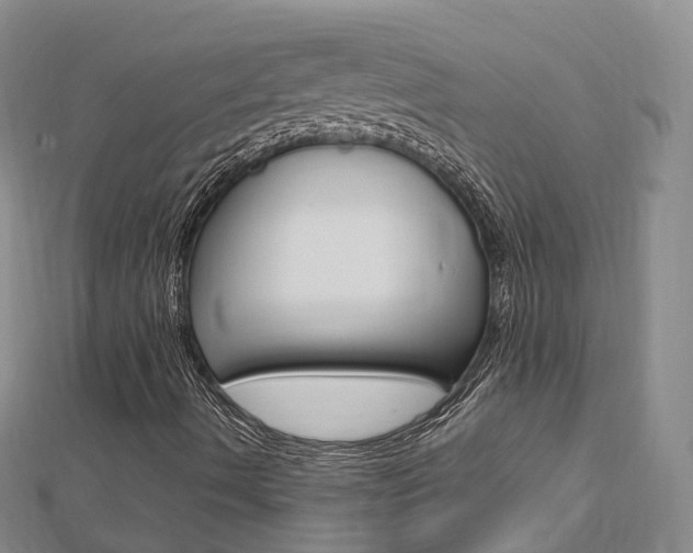 X0000112741490200908201023
