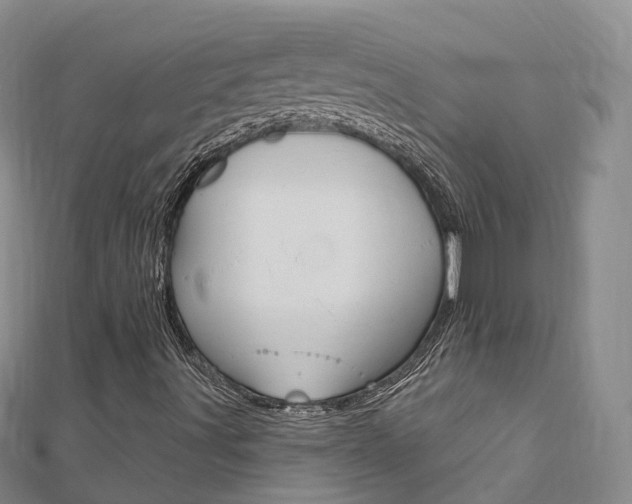 X0000112741491200908201023