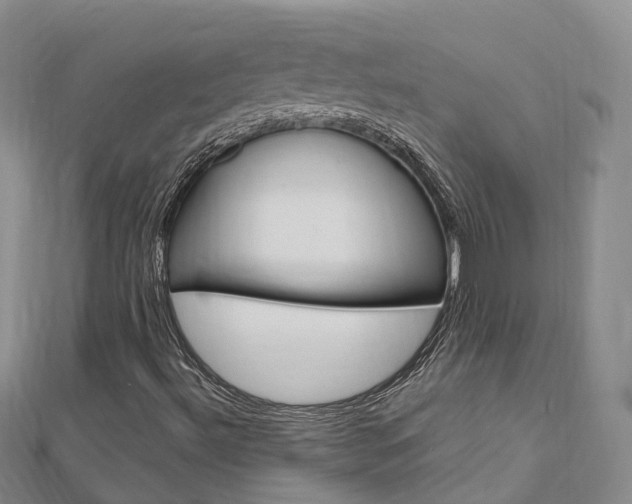X0000112741492200908201023